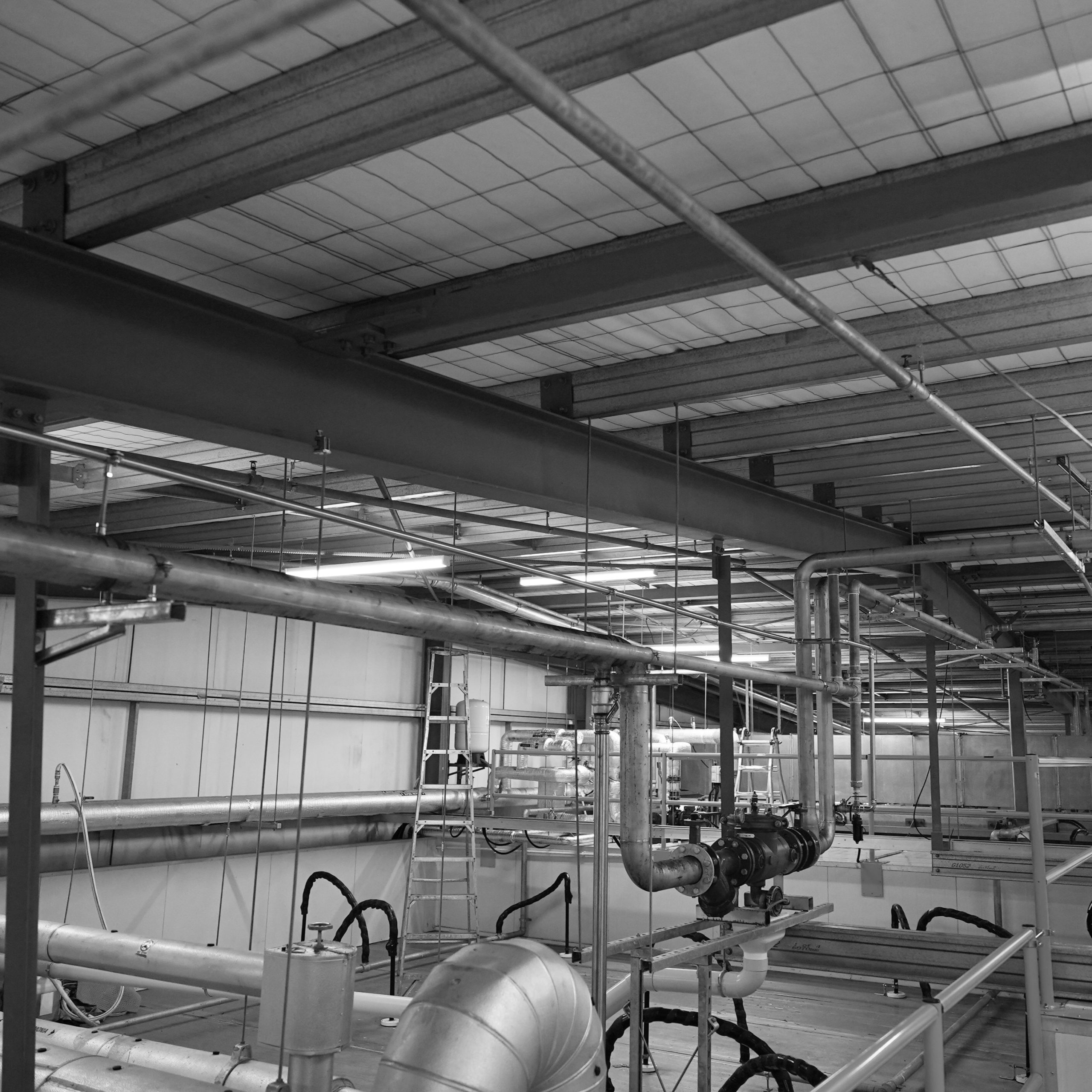 rapidpress waterline install for a mussel factory