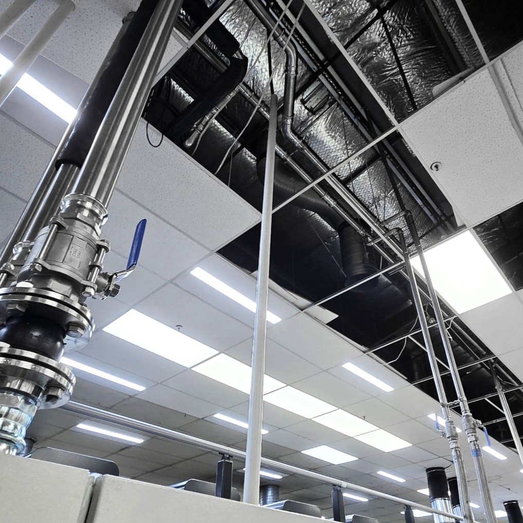 rapidpress install for a printing office fitout in new zealand